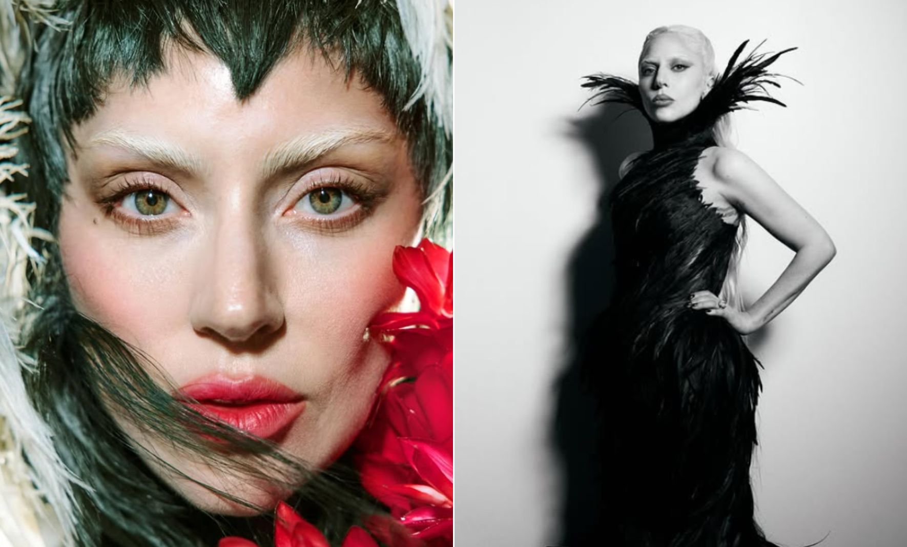 Lady Gaga canceled her Montreal show due to a worsening respiratory infection, expressing disappointment for her fans.